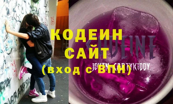 сатива Няндома
