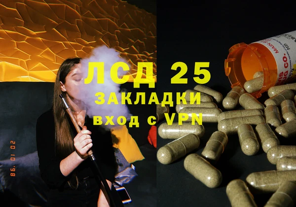 стафф Дубовка