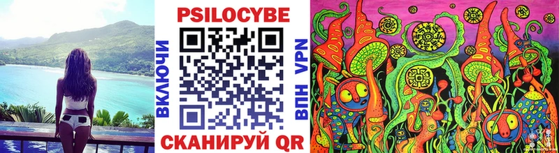 кракен ссылки  Инта  Псилоцибиновые грибы Psilocybe 